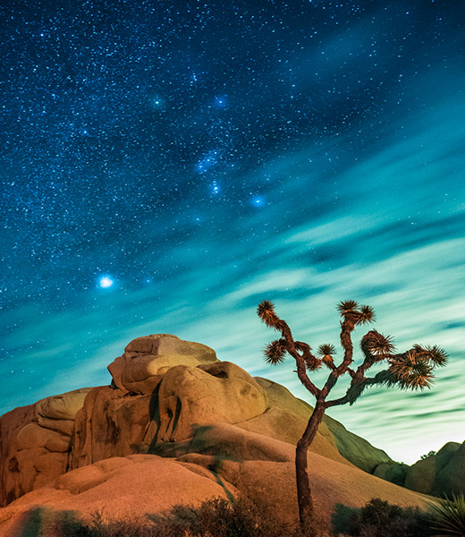 Joshua Tree National Park