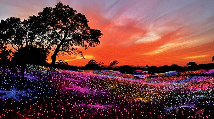 Bruce Munro: Field of Light at Sensorio installation in Paso Robles, Ca;ifornia